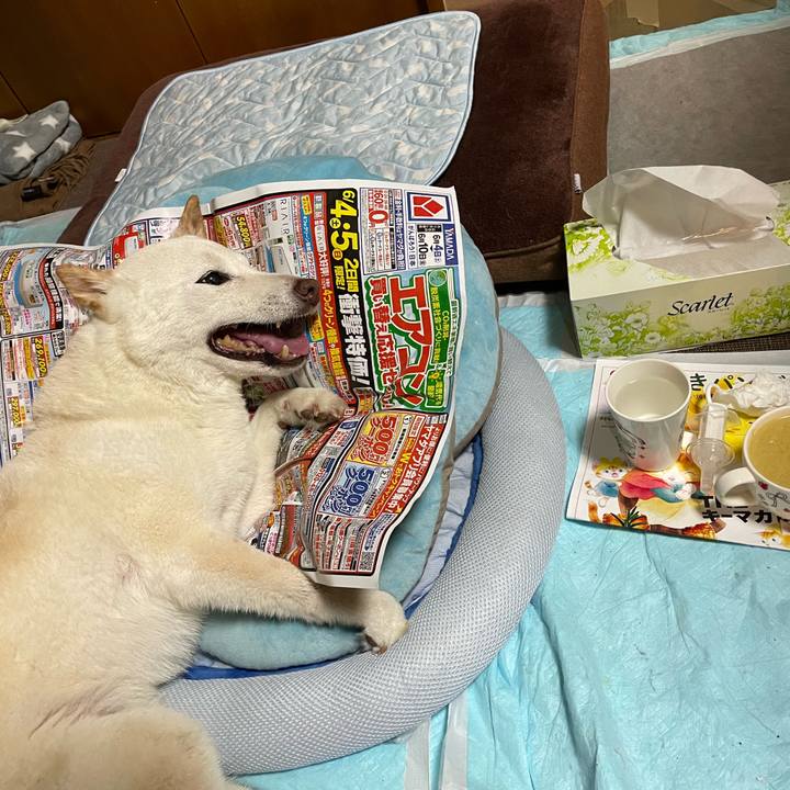 4db54590 e2f2 4e16 b8d1 5101f9ab7cda 1654358975251