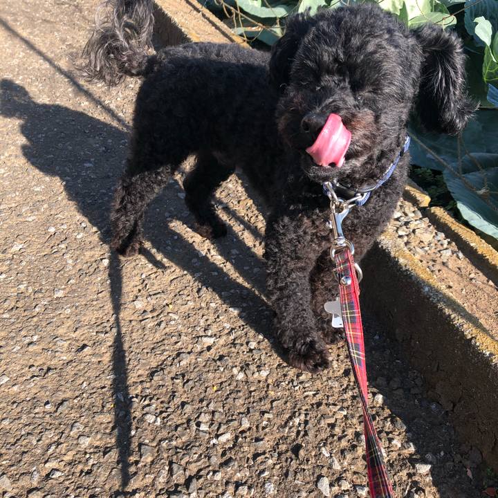 4db57b80 8069 4131 ae76 240494a8a930 1604279140652