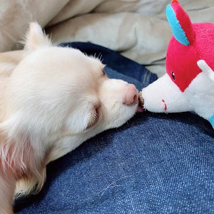 4db5de4d 3983 43da 94e5 906cf8a3aabb 1616918292480