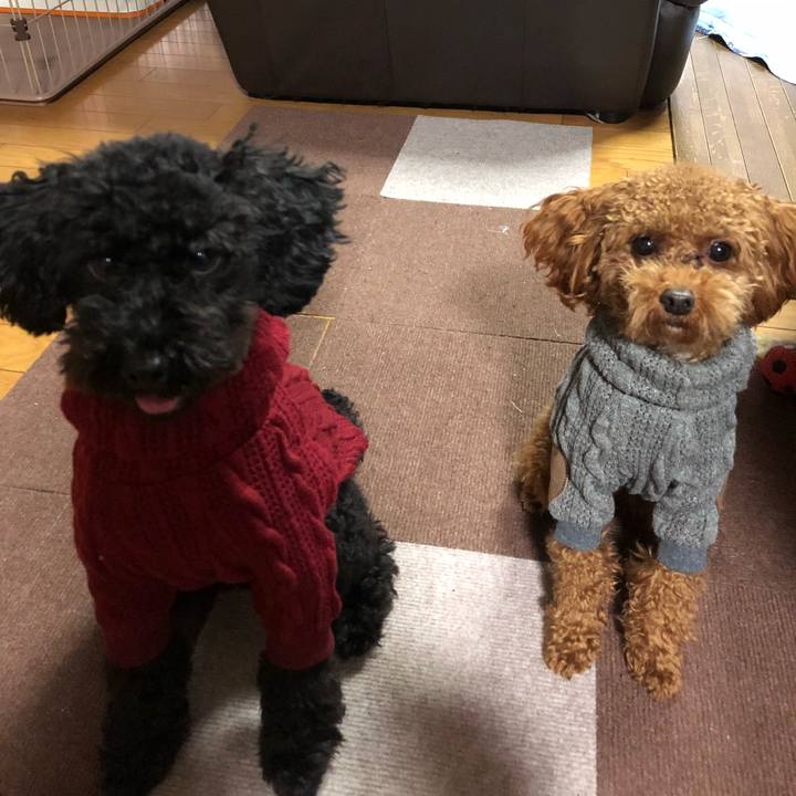 4db5e74f 1147 4116 a511 94dc6799ad23 1510997721646