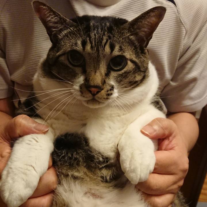 4db5f117 0e66 49ed aa26 f18c43aa1ea0 1539261016919