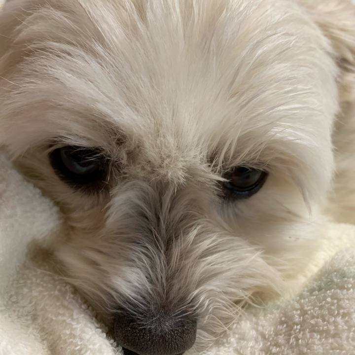 4db5f776 a658 4f2b 87c1 c2fedda3c261 1620816040953