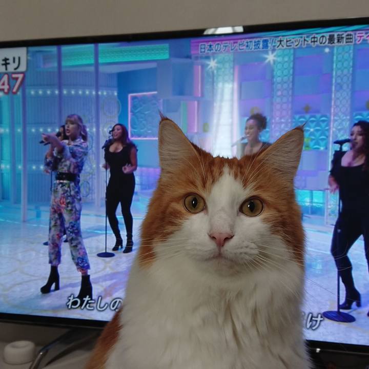 4db611fe 7f15 4207 a240 60e71fe23c55 1573348263371