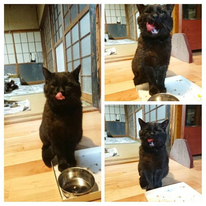 4db64973 3f32 4477 95df 185e4502053e 1620300877215