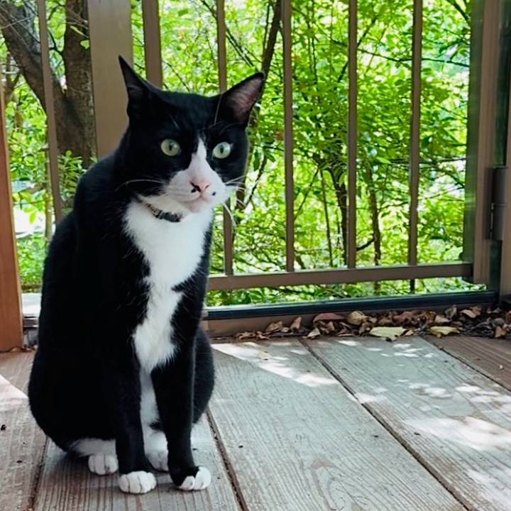 4db69236 19ac 48c7 87e3 a43b96c48019 1755779881725