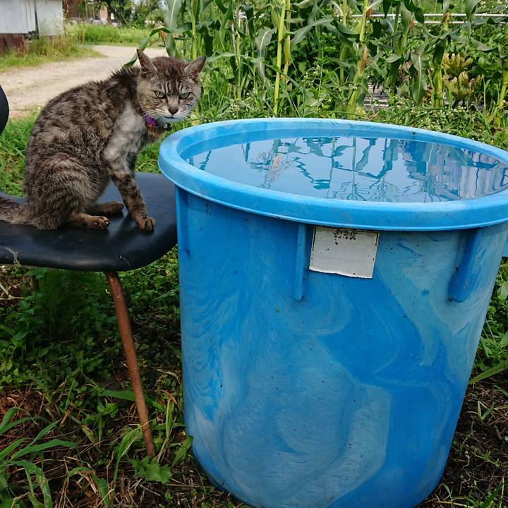 4db6ed97 94f3 40f0 b14c c8800c13660b 1596608627780