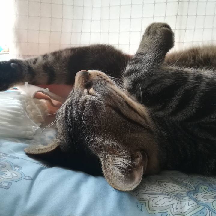 4db6f6ba 2ec1 48f2 81e0 89653baffb6c 1565216254997