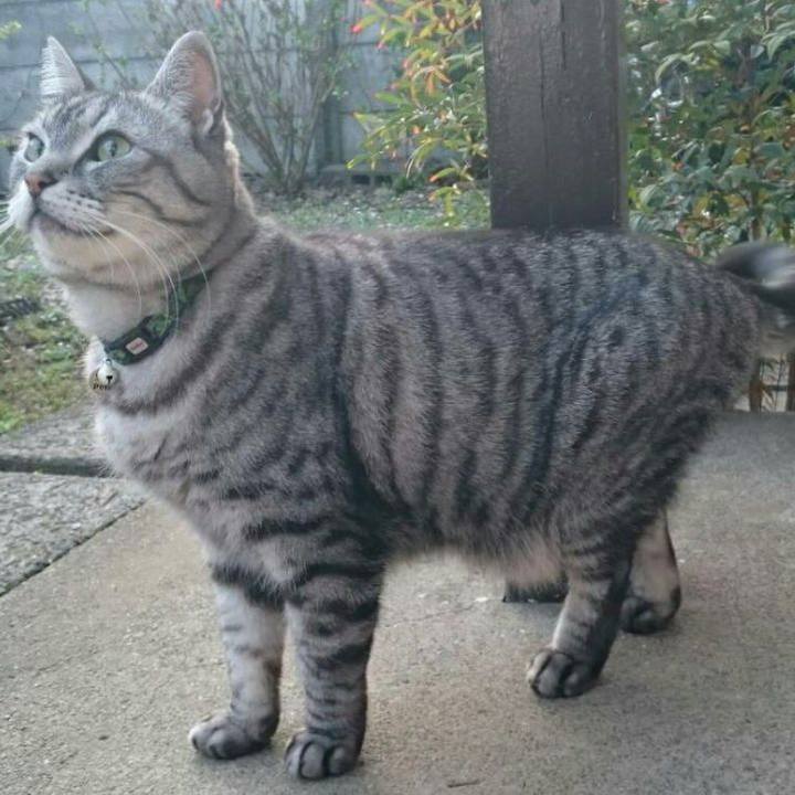 4db7035f c257 4fa2 945f 6af15bdf0be8 1705455457432