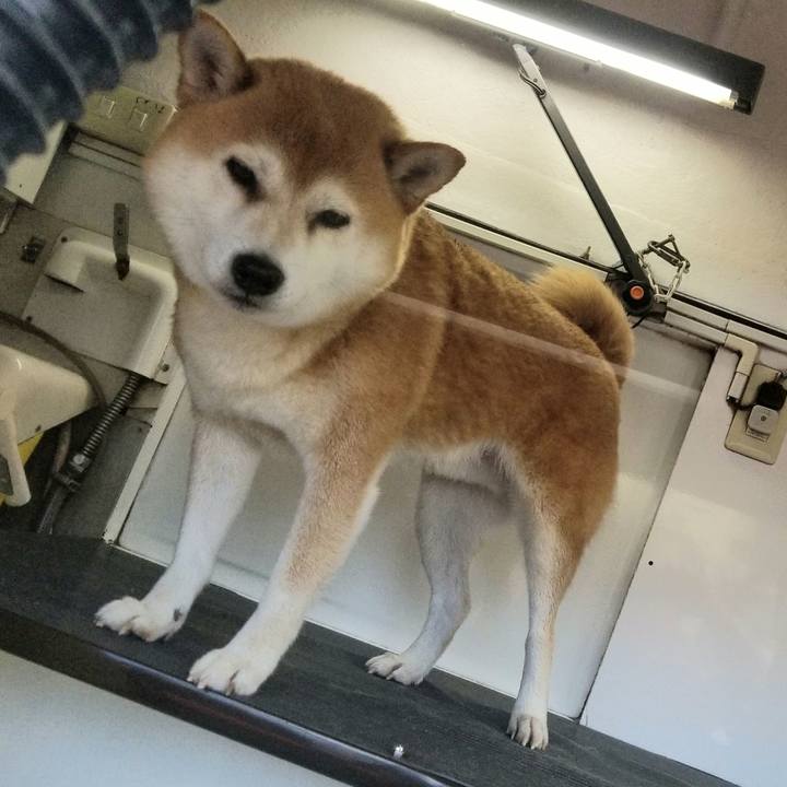 4db73379 5608 4f44 a20d f5fd27896b3c 1604454836277