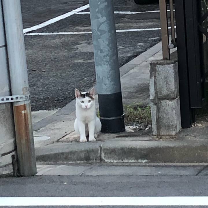 4db74bdb bb3d 43a1 9d5b 379fc4074521 1626656872331