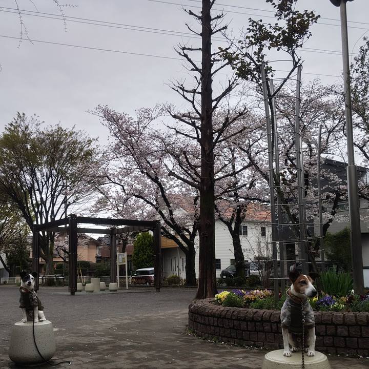 4db750d0 8f72 4517 83b6 e73bbbc632db 1774997685264