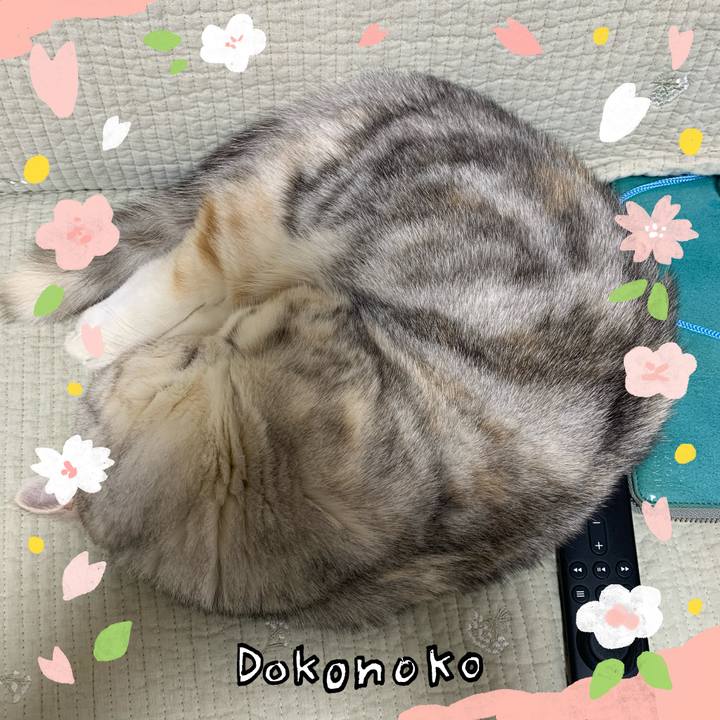 4db78249 f4ef 4fea bf4f 3d3a1b490951 1711364395650