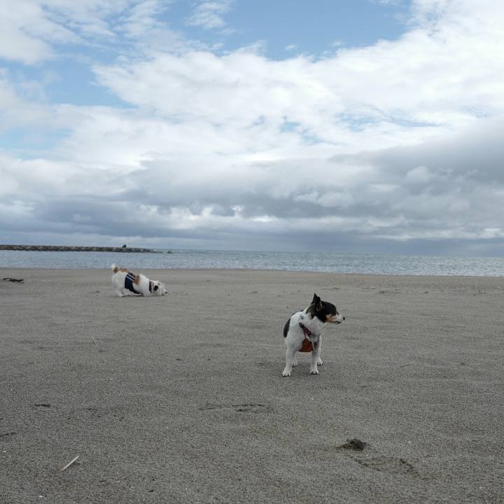 4db78446 f4ee 4579 a222 f0f6e6930e42 1526701220716