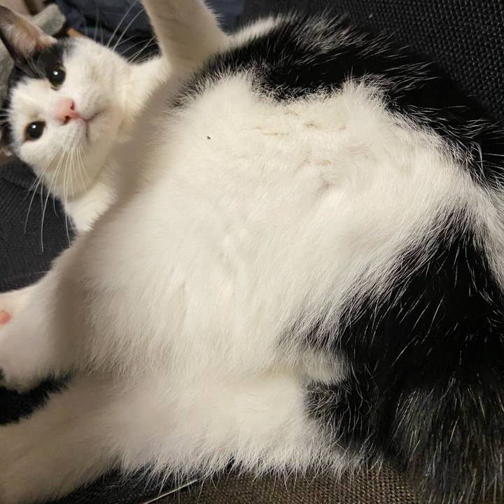 4db7c15f bb39 44b3 9549 b037e05f0adf 1578655743609