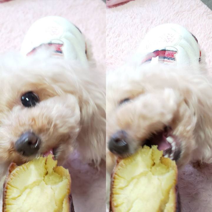 4db829cf 5fc0 42c7 980f d48613f44952 1575115604932