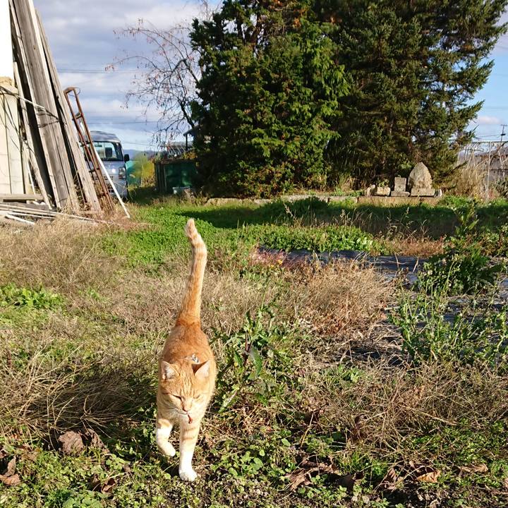 4db82dc2 3ef6 42b4 812d 89029a1d52ff 1573280664577