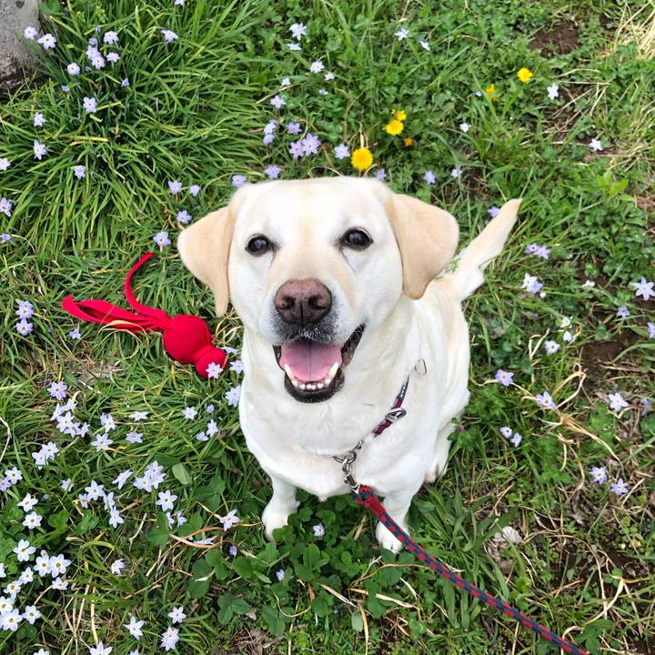 4db84b22 58ae 46bc b200 edd6310668ff 1648386260216