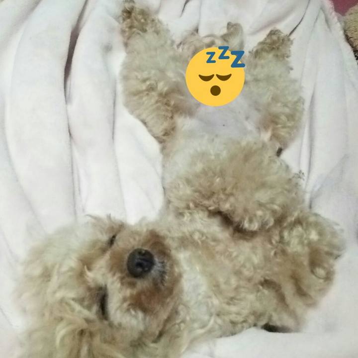 4db84c5b 5b47 4fbe a355 e9d6d4e47225 1559350151467