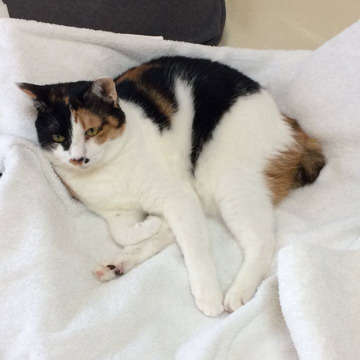 4db84c9f e7b5 41c0 a2d2 a6d7ade3ba07 1590463673596