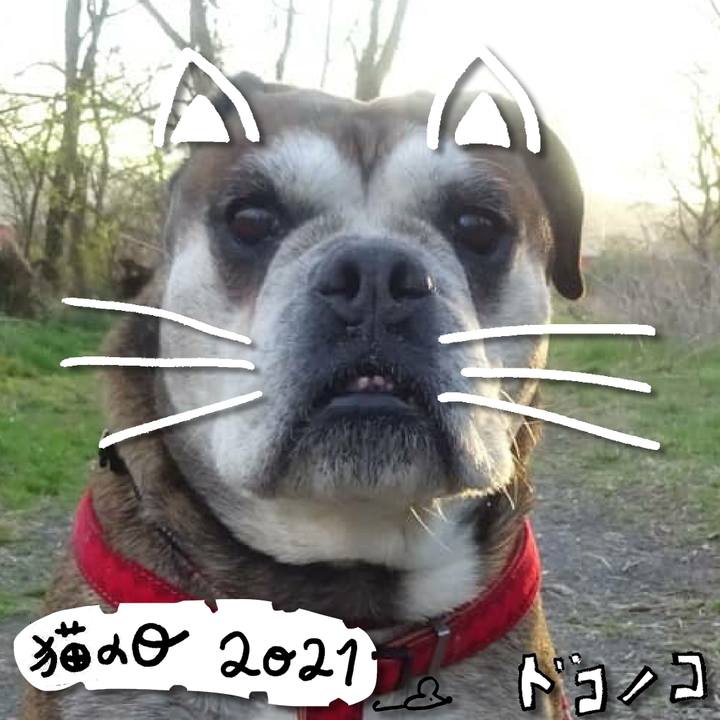 4db8600c e49b 4d80 8545 bcbcd4a06f89 1614000058230