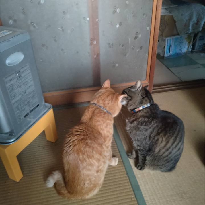 4db87628 a3bc 4382 8f27 094f750a2ada 1743889960814