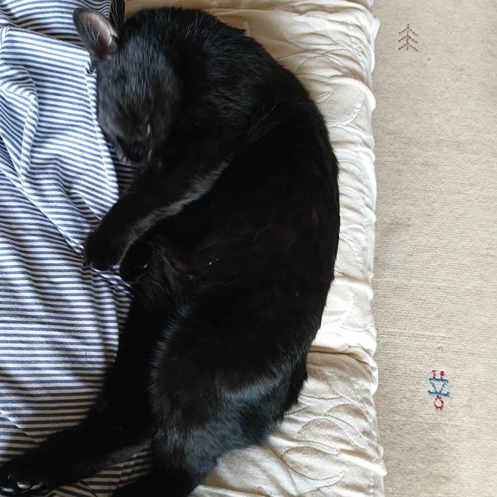 4db89d09 1fd0 4acf a600 527735c7a1fd 1632548808014