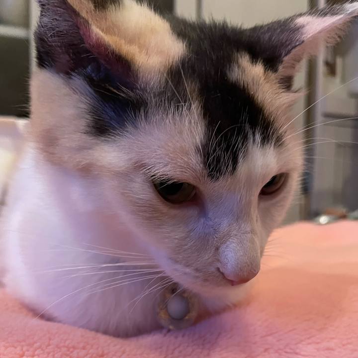 4db8b642 c794 4332 aebe 77d0a9c87171 1700052725867