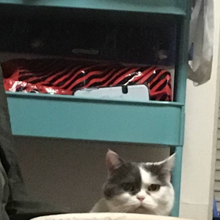 4db8c118 3e98 433c 98e0 5d20b7bf91d6 1525365346482