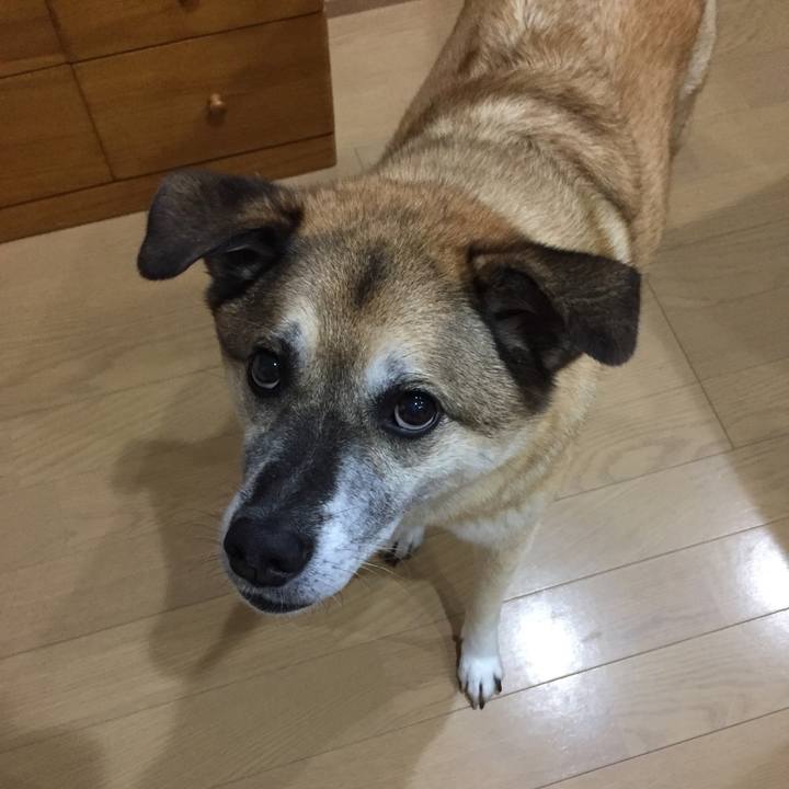 4db8ca27 c93b 4e30 ba4c d8fb0cacb51d 1571917799966