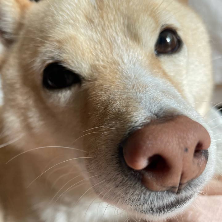 4db91315 04bb 4109 94d6 26f291cfb96a 1667787293852