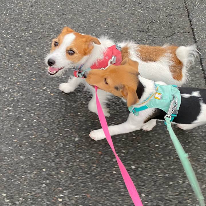 4db92c36 59f8 4881 8f0d ce7bcc1918d8 1750020895494