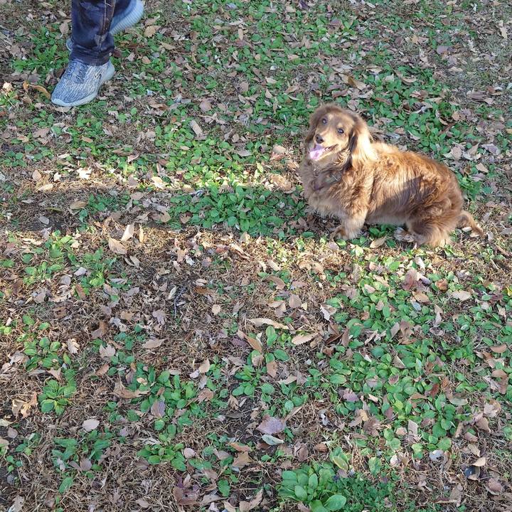 4db9b509 fa6f 40ce a6fc 0da8a6c986af 1733023508292