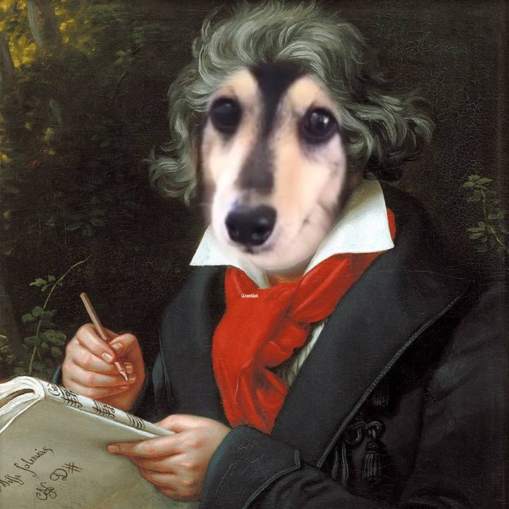 4db9d5d7 cc35 4aed 8630 4dd259d30b2f 1636726813957