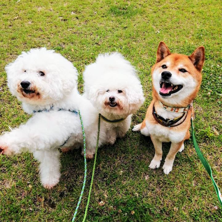 4db9e39d e197 4b92 bb4e f475df2f53bf 1623631203738