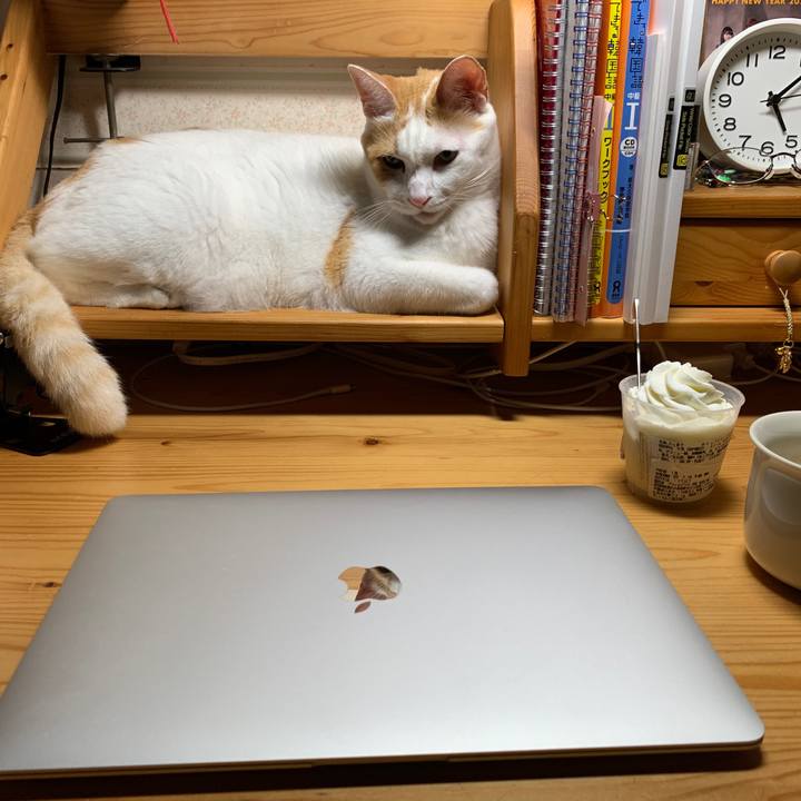 4dba0cd8 694d 4a81 b9a1 ed2245372a4c 1657829847734