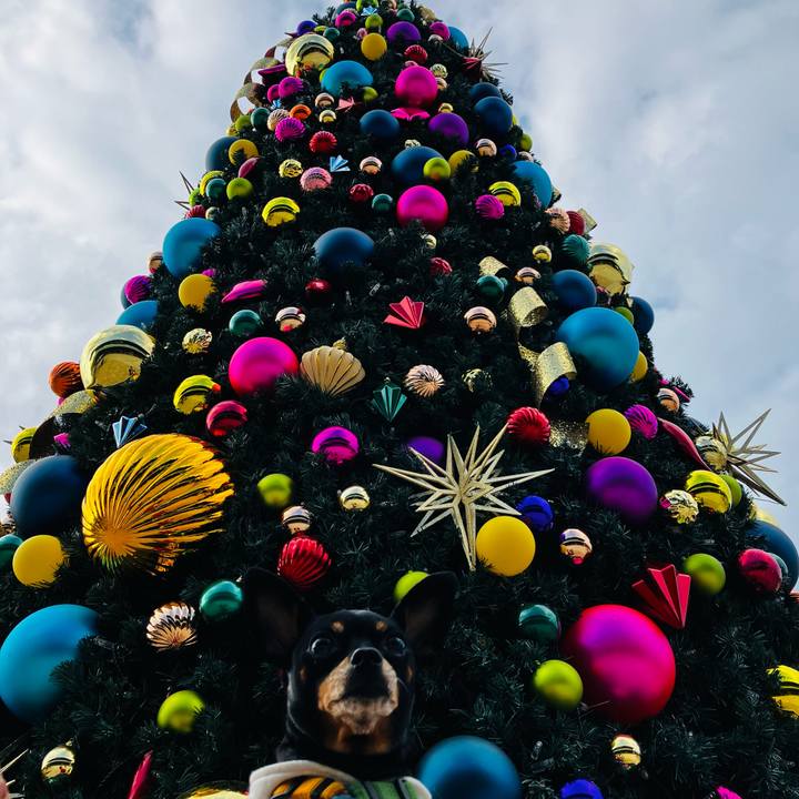 4dba121f 56a3 4a56 a1bc 9ab50d421e46 1731763211108