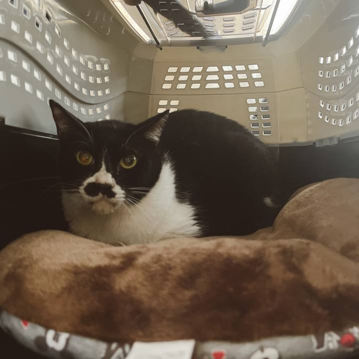 4dba23db fe7a 4b69 bc6f 448013f97357 1651440332239