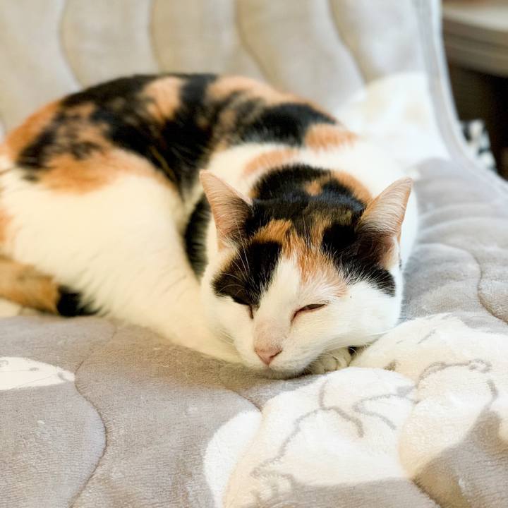 4dba45d5 cd7c 4651 a7bc 36875a025796 1547861005135