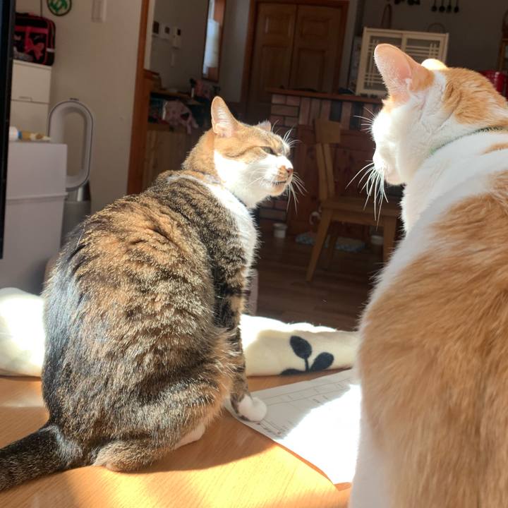 4dba6d3b bfbc 4bac 97e1 21c9a553c4d3 1584246632229