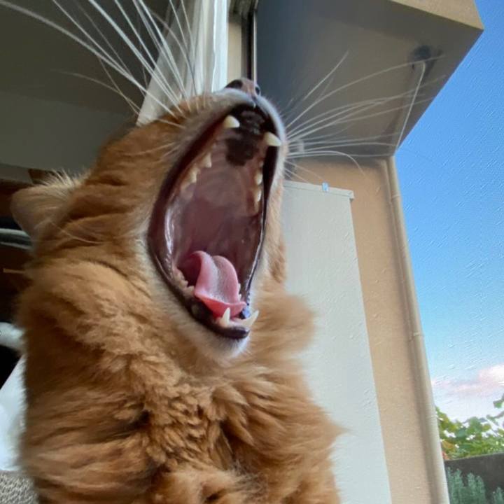 4dba7169 4378 4ca7 a2cc 0c6621ca944b 1635407672058