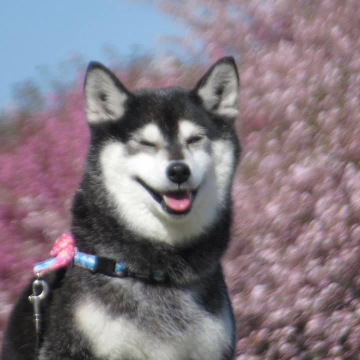 4dba728c 901f 4961 a2e7 c7ac956fe389 1682145872086