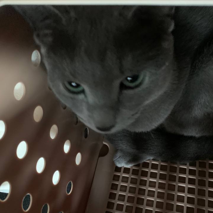 4dba9f16 124f 4118 9095 7b8bf9c2347d 1592092299734