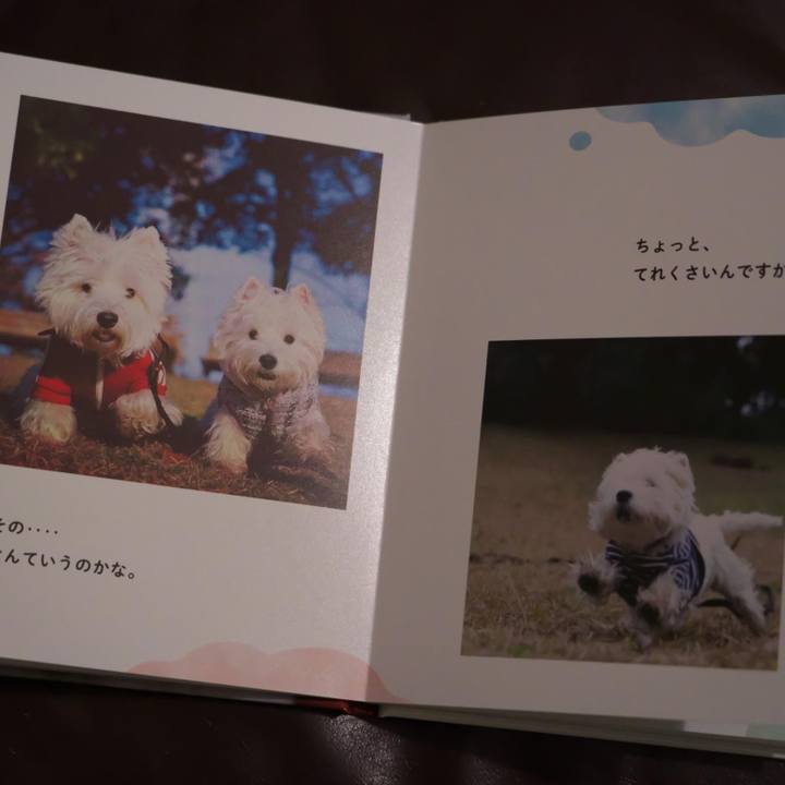 4dbad067 961e 454a 95b9 5f829c90263b 1514120829858