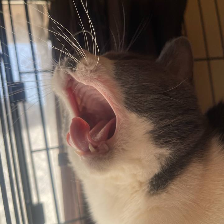 4dbad43c 4a6c 4181 aa4d 1c12141fc95b 1704338598772