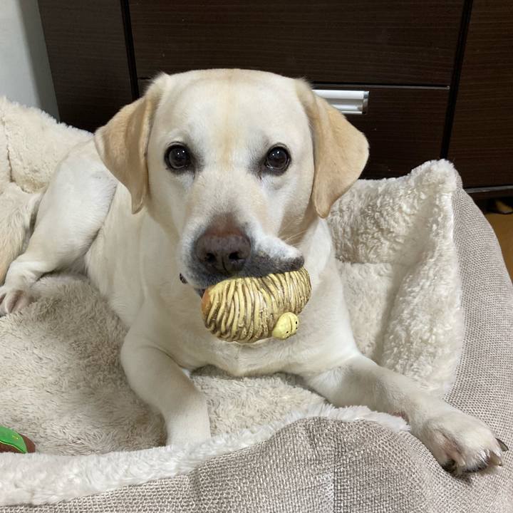 4dbadf69 08d7 4278 978e a346ec77c020 1742126109014