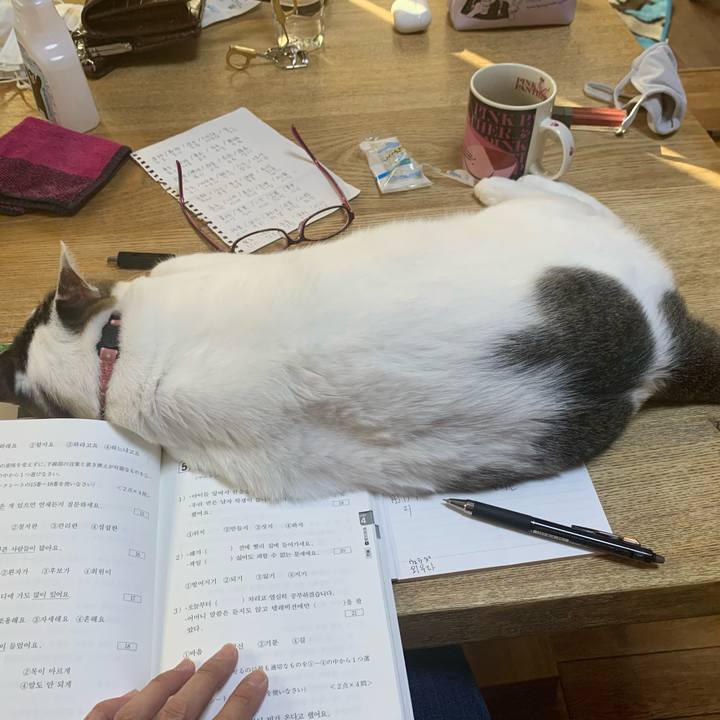 4dbaf33d 938a 4662 9477 6770569fdcb2 1604360474118