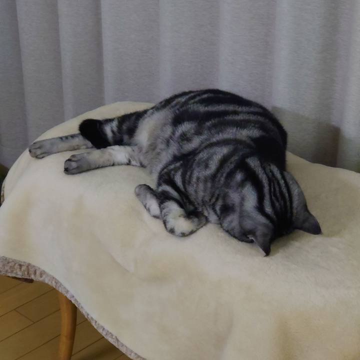 4dbb0047 67db 4691 9396 dba67a780009 1651840147657