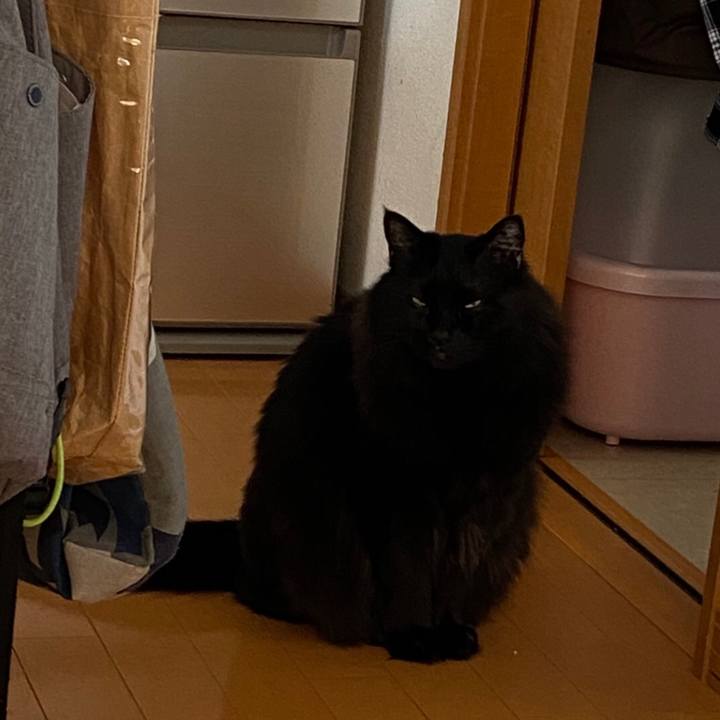 4dbb4cdd 00c4 4bcc b2da ccdd8c877a2d 1584770577814