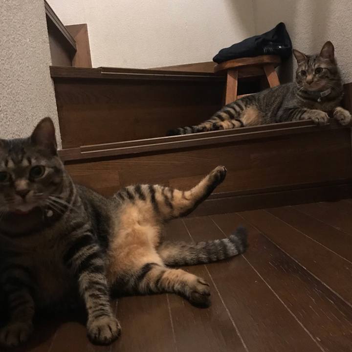 4dbb5f1b 1c1c 45a5 b69d a9cc14d66c00 1557841427240