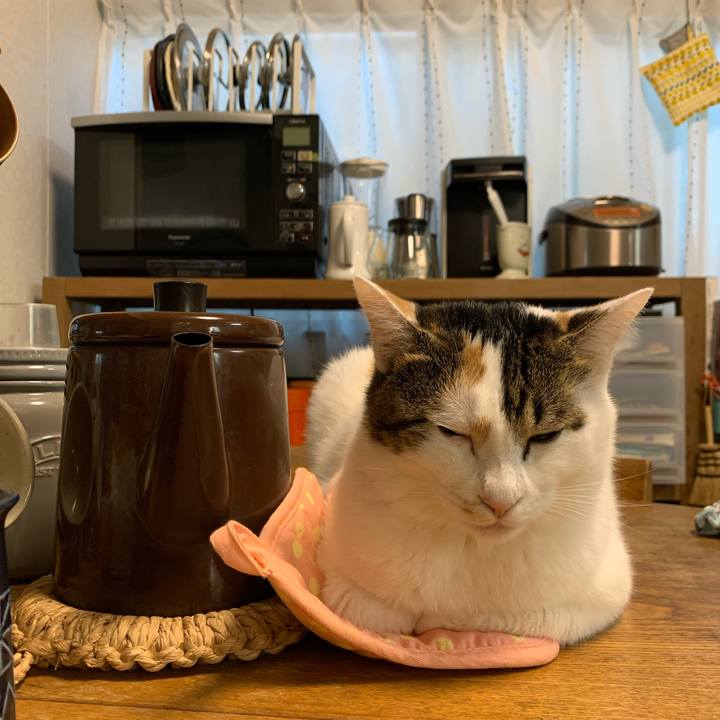 4dbb6426 0ffa 4bba 8612 38fbce204817 1667863149906